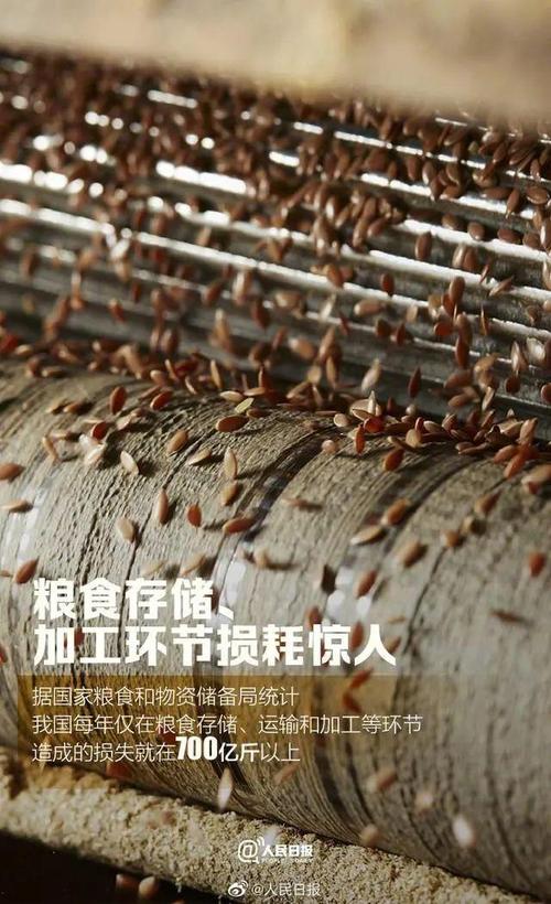 豐收不易，食安當先——寫在第40個世界糧食日暨糧食加工食品生產宣傳月之際