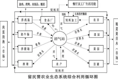 你知道,世界生態(tài)農(nóng)業(yè)的典范嗎?